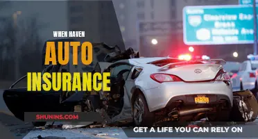 Auto Insurance Haven: Peace of Mind on the Road