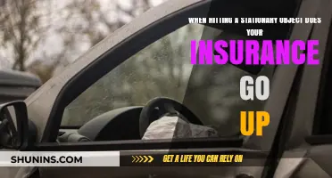 How Accidents with Stationary Objects Affect Insurance Rates