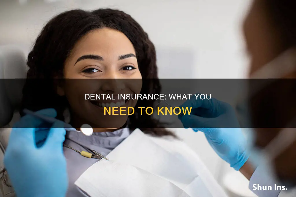when I go to the dentist insurance