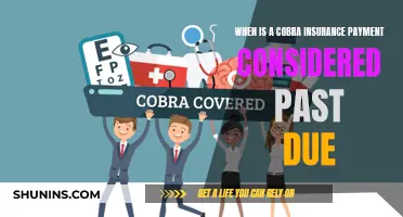 Due Dates: Cobra Insurance Payments