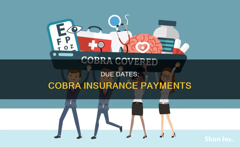 when is a cobra insurance payment considered past due