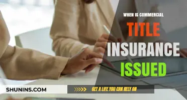 Title Insurance for Commercial Properties: When is it Issued?