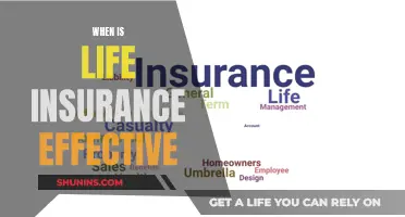 Maximizing Life Insurance Benefits: When It's Most Effective