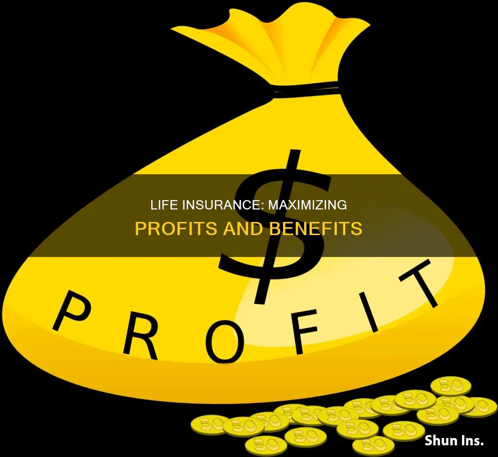 when is life insurance most profit
