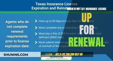 Renewal Time: Understanding Your Life Insurance License's Future