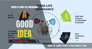 When to Choose Term Life Insurance: A Guide