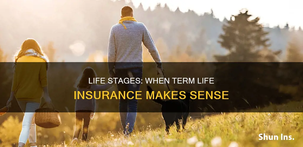 when is term life insurance a good idea