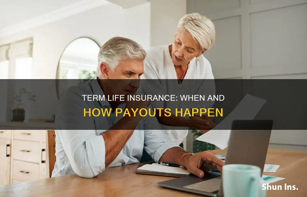 when is term life insurance paid out