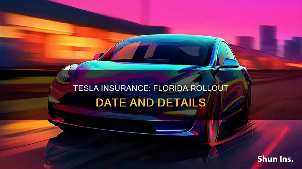 when is tesla insurance coming to florida