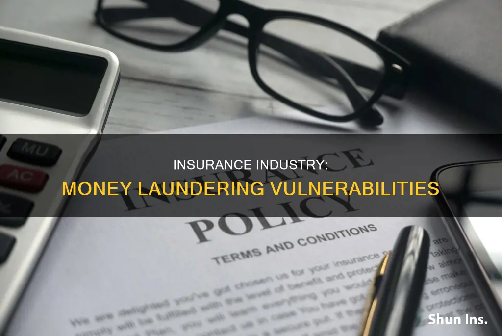 when is the insurance industry most vulnerable to money laundering