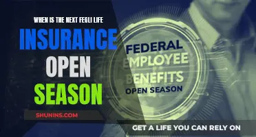 Fegli Life Insurance: When is the Next Open Season?