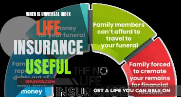 When to Use Universal Index Life Insurance: A Guide