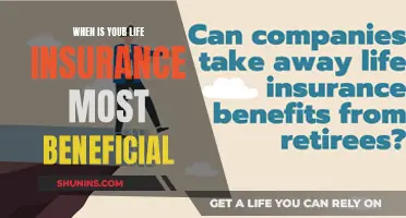 Life Insurance: Maximizing Benefits for Your Loved Ones