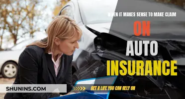 Should You Make an Auto Insurance Claim?