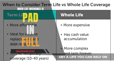 Understanding the Full Value of Life Insurance