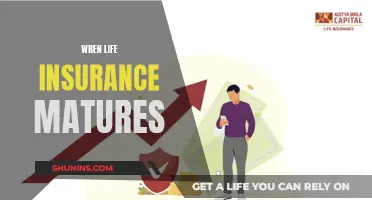 Life Insurance Policies: Maturity and What it Means