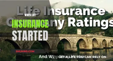 The Evolution of Life Insurance: How It All Began