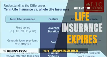 Renewing Term Life Insurance: What to Expect When Your Policy Expires