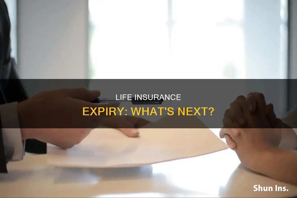 when my term life insurance expires