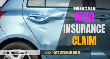 When Filing an Auto Insurance Claim Can Wait