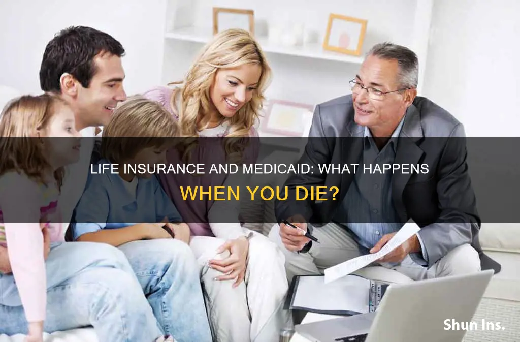 when person dies medicaid life insurance
