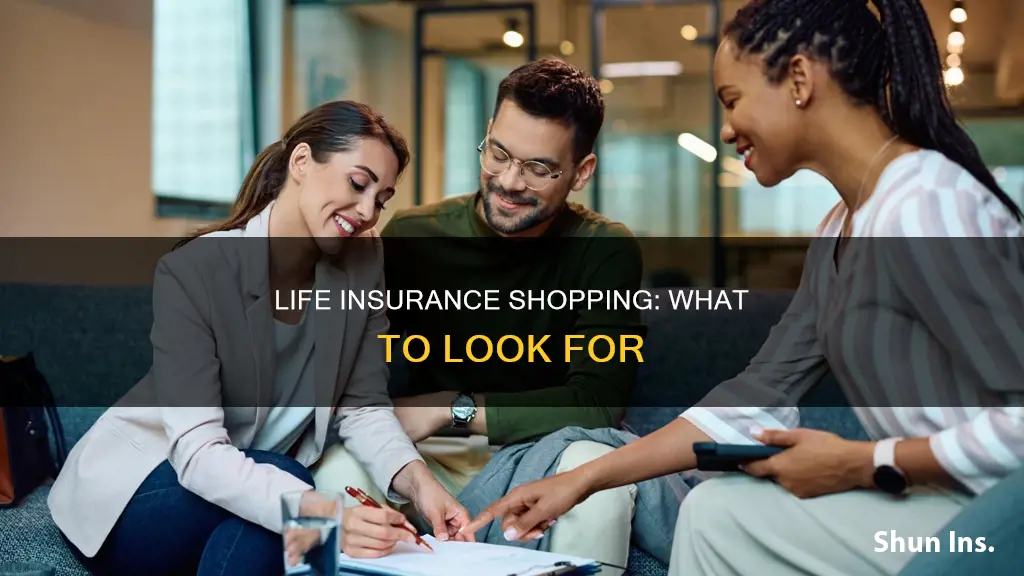 when shopping for life insurance you should look for brainly