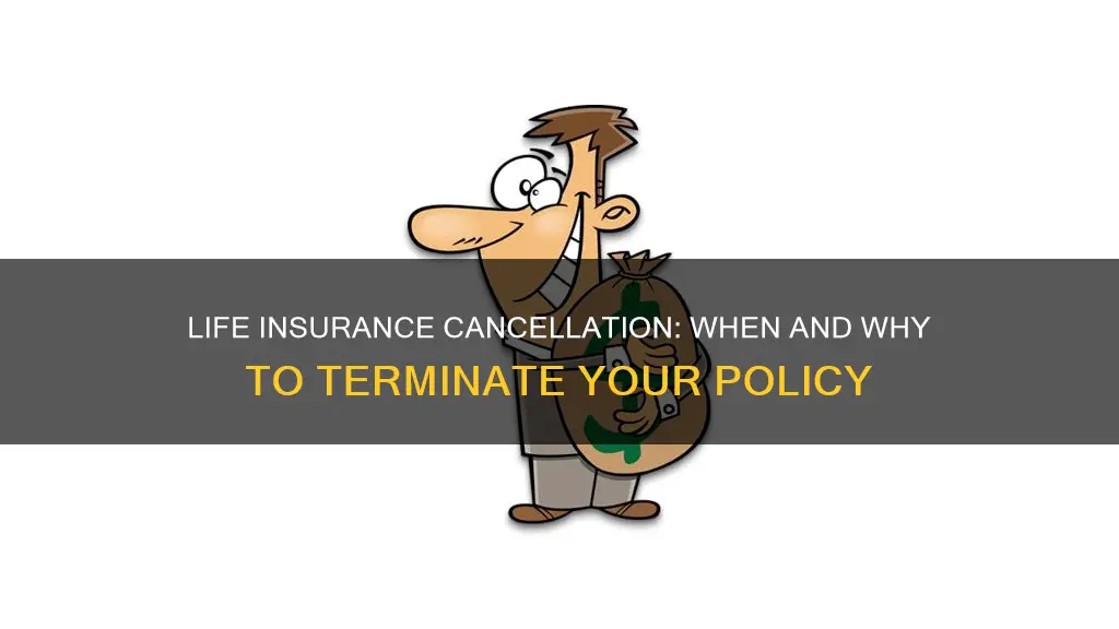 when should I cancel life insurance