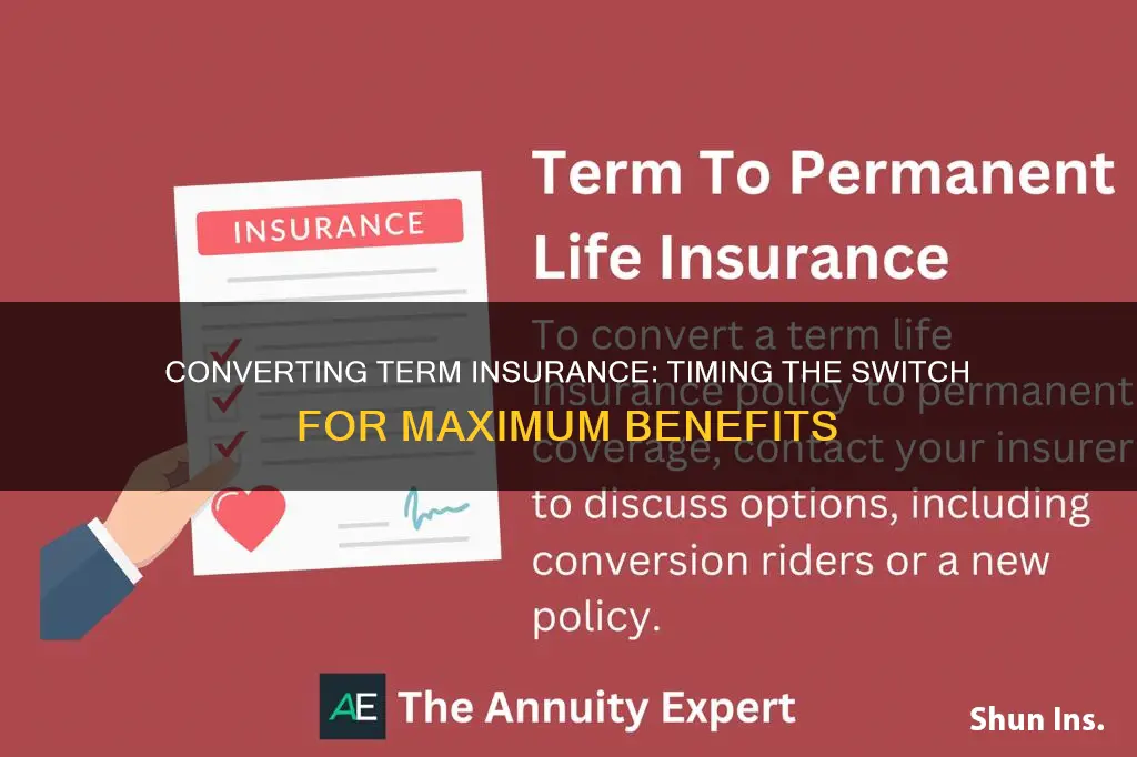 when should I convert my term insurance