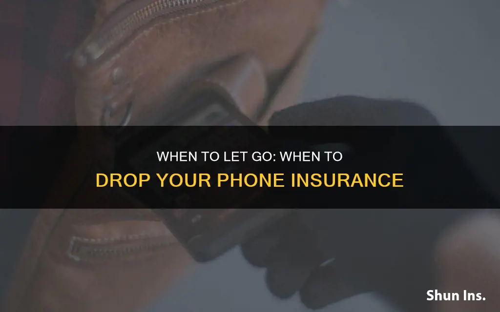 when should I drop cell phone insurance