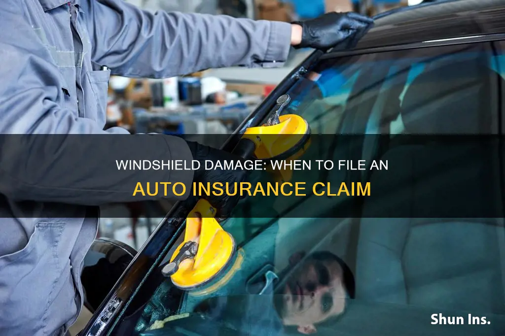 when should I file a windshield claim on auto insurance