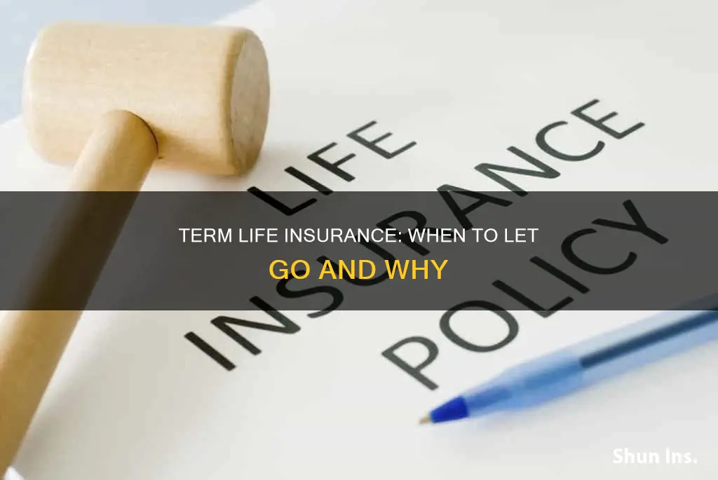 when should I give up term life insurance