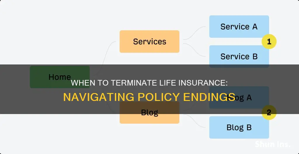 when should life insurance be discontinued