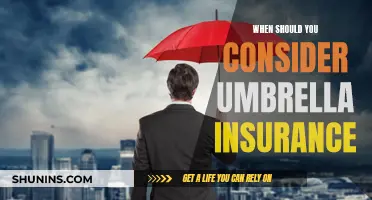 Umbrella Insurance: When to Cover Your Assets