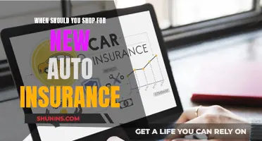 How Often Should You Shop for New Auto Insurance?