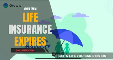 Life Insurance: What to Do When Term Expires