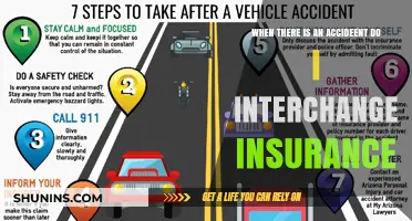After an Accident: When to Interchange Insurance Details