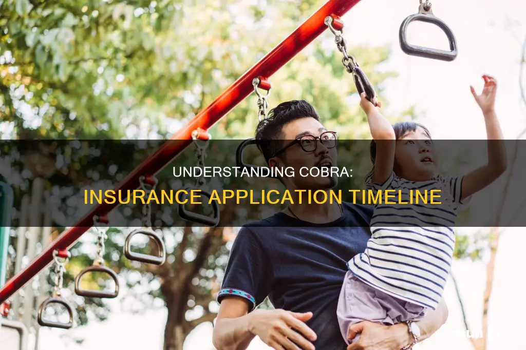 when to apply for insurance when cobra is ending