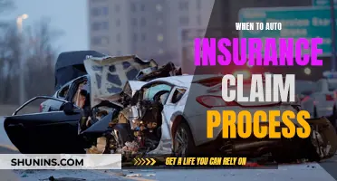 Understanding the Auto Insurance Claim Process: When to File