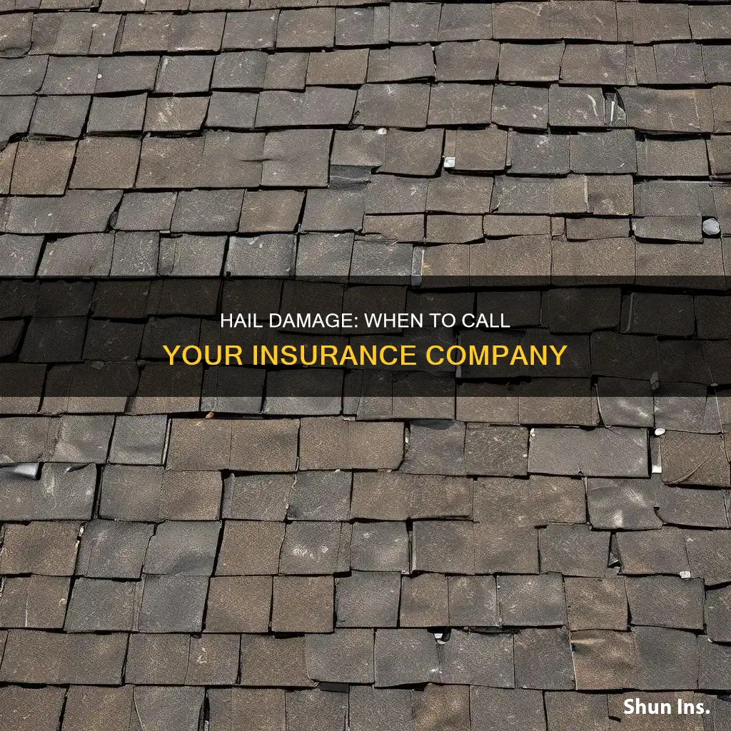 when to call insurance after hail