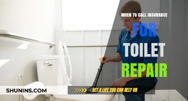 Toilet Repair: When to Call Insurance?