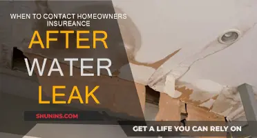 Protect Your Home: When to Call Insurance After a Leak
