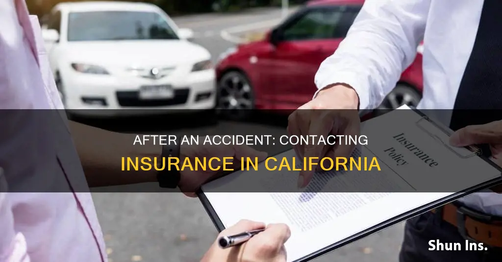 when to contact insurance after accident california site gov