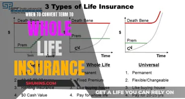 Whole Life Insurance: When to Convert from Term Coverage