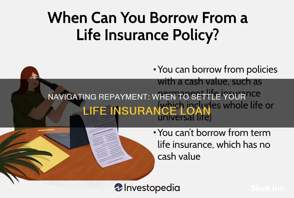 when to repay life insurance loan