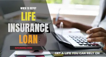 Life Insurance Loans: When to Repay and Why