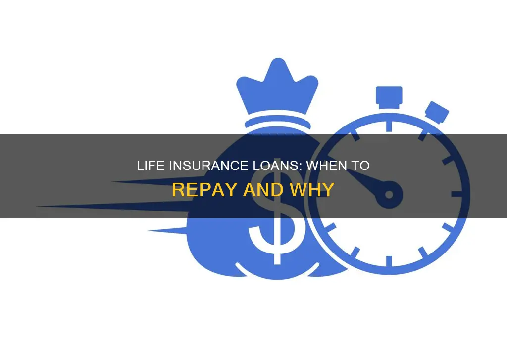when to repay life insurance loan