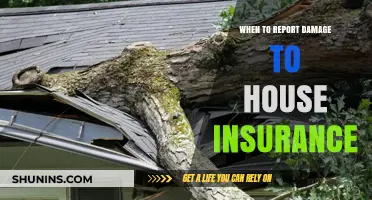 Report Home Damage: When to Contact Your Insurer