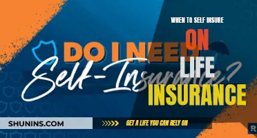 When to Opt for Self-Insured Life Insurance: A Guide