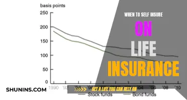 Self-Insuring on Life Insurance: When to Take the Risk