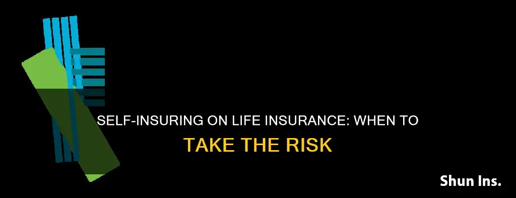 when to self insure on life insurance